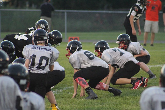 人气依旧无敌！BBR球星浏览次数排名：詹姆斯霸榜47个州