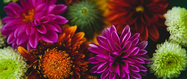 足球中超队医团队获肯定，伤病率下降